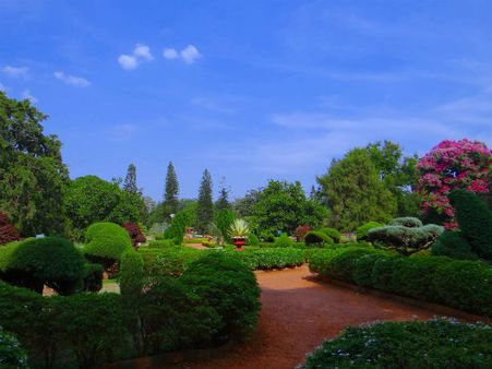 7) One Of The Highest Hill Stations