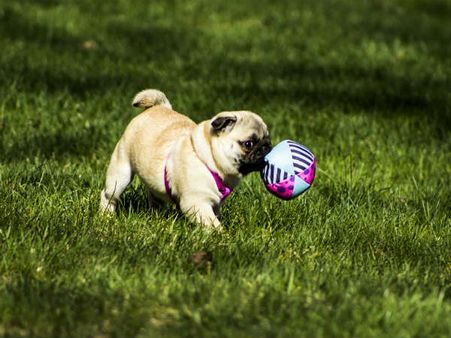 A Little About The Park And Its Construction