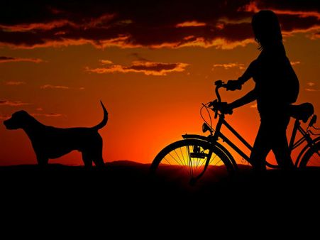 Other Such Plans Of GHMC