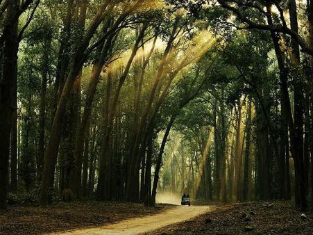 5) Jim Corbett National Park