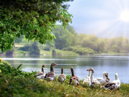 6) Coringa Wildlife Sanctuary