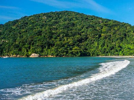 Why You Must Visit Phansad Wildlife Sanctuary