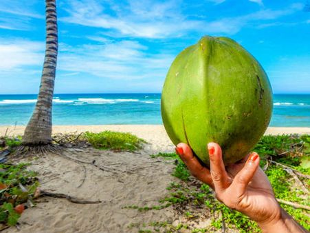 4) Coconut Water Is Cheaper Than Mineral Water