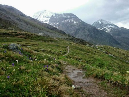 Why You Must Visit Kugti Wildlife Sanctuary