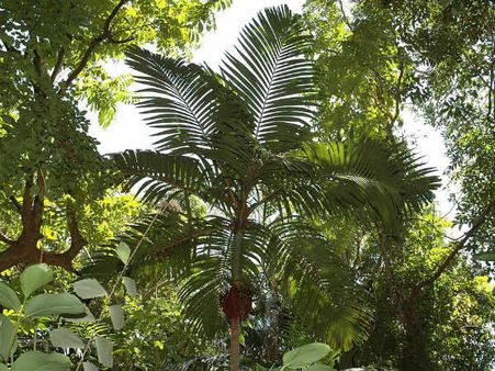 Best Time To Visit The National Park Best Time To Visit The National Park