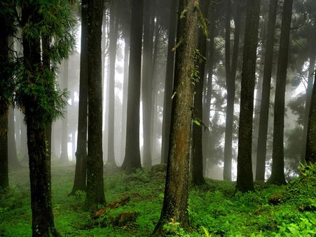 Return Journey: Timburey to Darjeeling:-