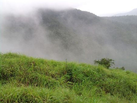 8. Kodachadri Trek, Karnataka
