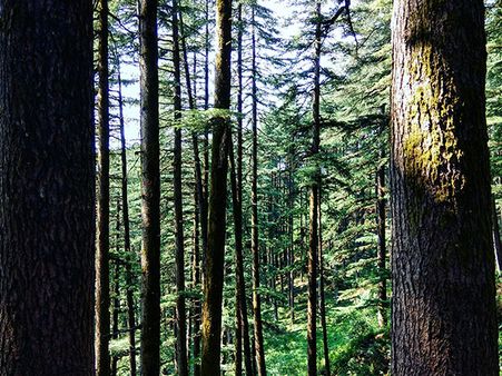 3. Kunjkharak Trek, Uttarakhand