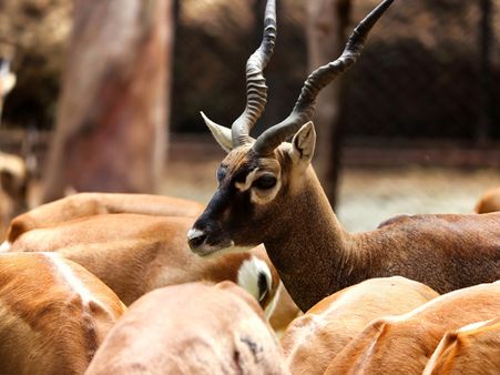 1. Tipeshwar Wildlife Sanctuary