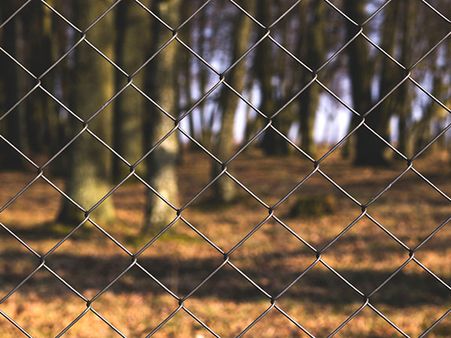 3. Rowa Wildlife Sanctuary