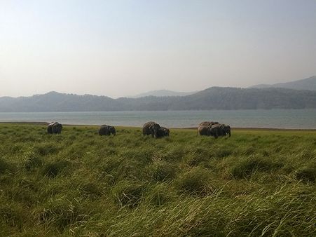 5) Jim Corbett National Park