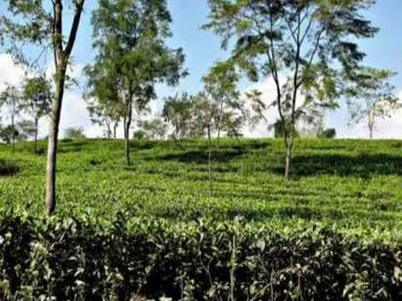 How To Reach Samsing