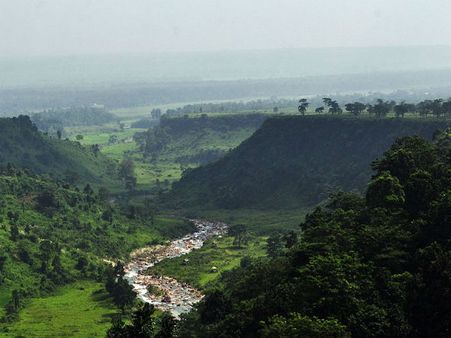 Birdwatching in the Dooars