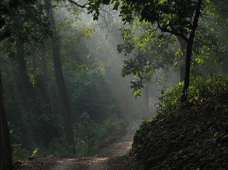1. Jim Corbett National Park