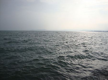 4. Enjoy boating and bird watching at Bargi Dam