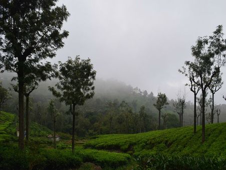 5. Coonoor, Tamil Nadu 