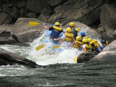 5. Instead Of Rishikesh, Visit Tirthan Valley In Himachal Pradesh