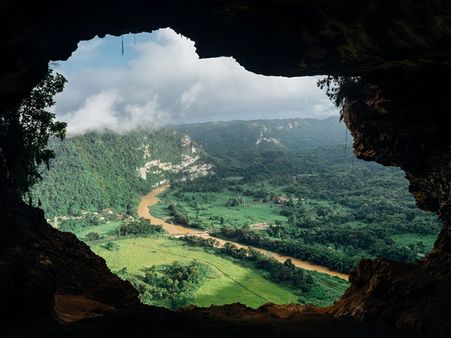 4. Witness the rich vegetation around the sanctuary