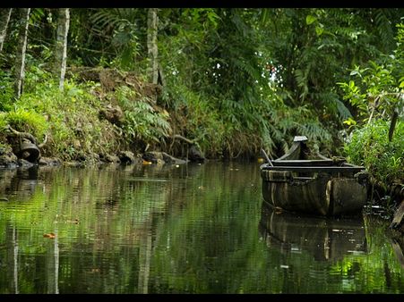 3. Offers Verdant Scenic Beauty