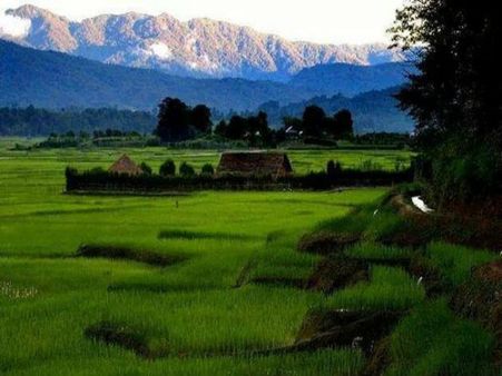 6. Ziro, Arunachal Pradesh