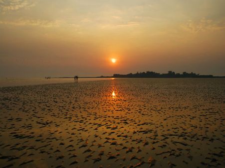 4. Alibaug