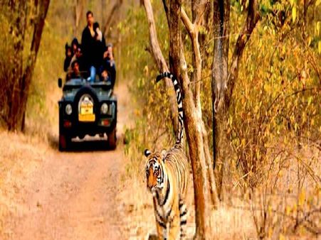 3. Ranthambore National Park