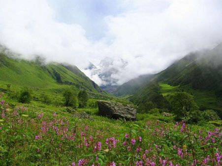 9. Valley Of Flowers