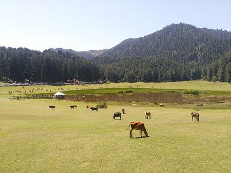 7. Khajjiar 7. Khajjiar