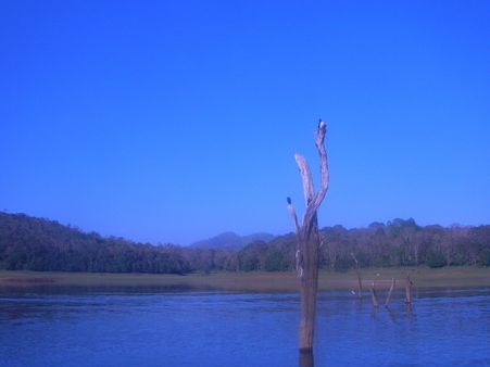 4. Thekkady