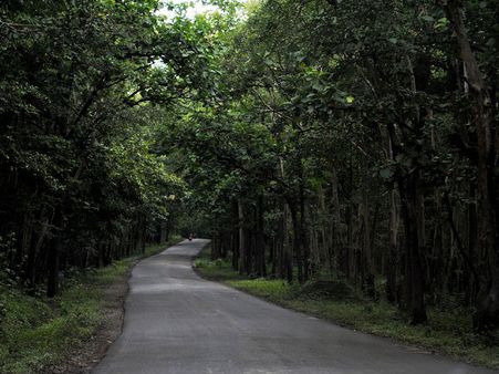 5. Dandeli 5. Dandeli