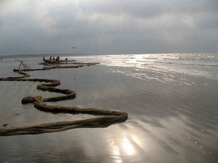 6. Digha