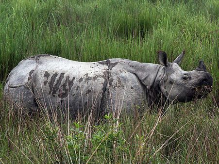 5. Keoladeo National Park