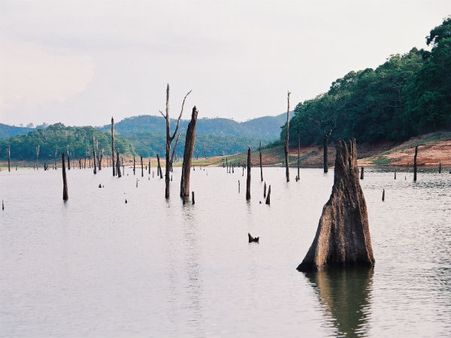 5. Thekkady