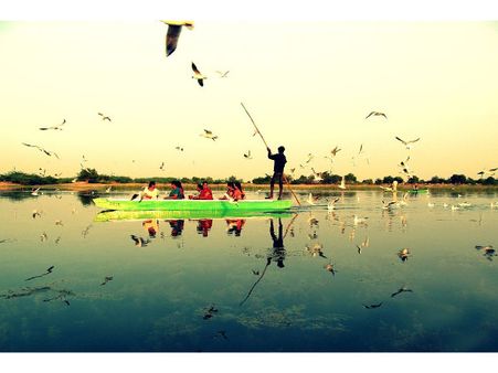 3. Thol Lake Bird Sanctuary 3. Thol Lake Bird Sanctuary