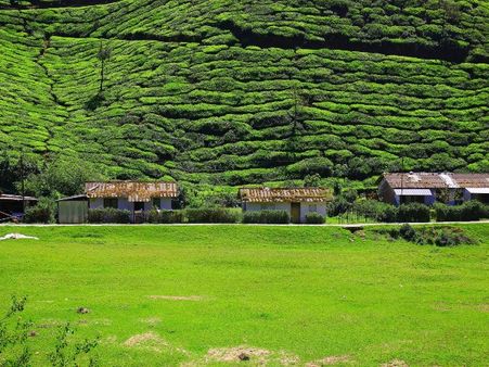 Munnar, Kerala Munnar, Kerala