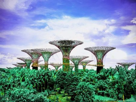 3) Gardens by the Bay 3) Gardens by the Bay