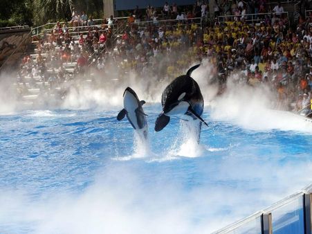 2) SeaWorld: Orlando, Florida 2) SeaWorld: Orlando, Florida