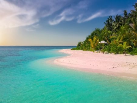 4) Cancer, Andaman and Nicobar Islands 4) Cancer, Andaman and Nicobar Islands