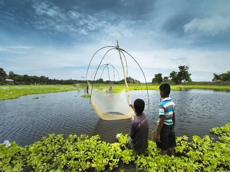 1) Assam 1) Assam