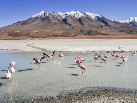 8) Bolivia 8) Bolivia