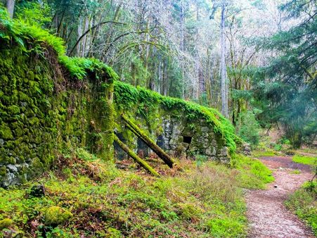 7) Redwood National and State Parks, California: 7) Redwood National and State Parks, California: