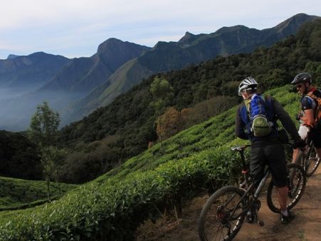Winter Vacation in South India: Cycle in the Cardomom hills