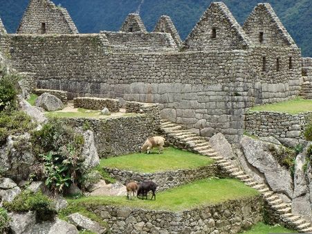 Machu Picchu Construction Machu Picchu Construction