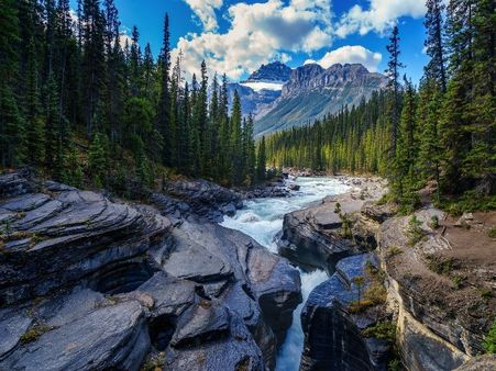 2) Jigme Dorji National Park: