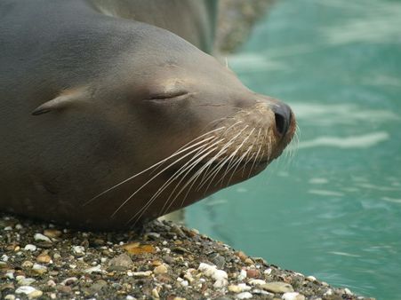 5) Cincinnati Zoo & Botanical Garden: Cincinnati, Ohio
