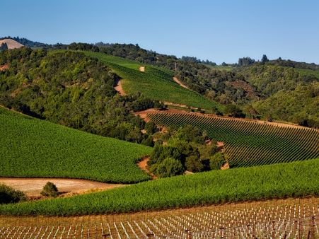 1) Sonoma, California
