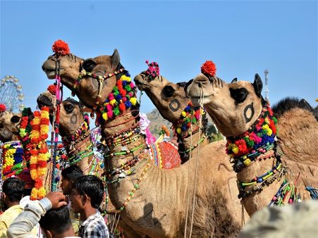 2) Pushkar, Rajasthan: