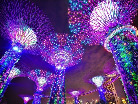 Walkthrough the amazing Gardens by the Bay: