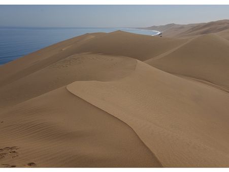 Things to do in Skeleton Island