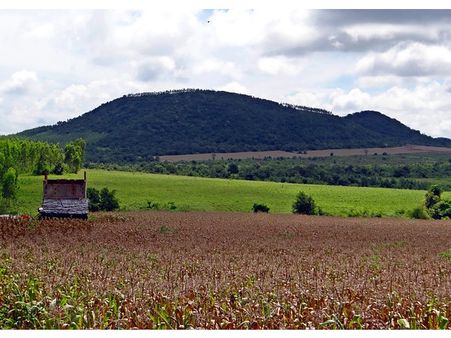 Day 1 in Sirsi, an oldest town in Karnataka